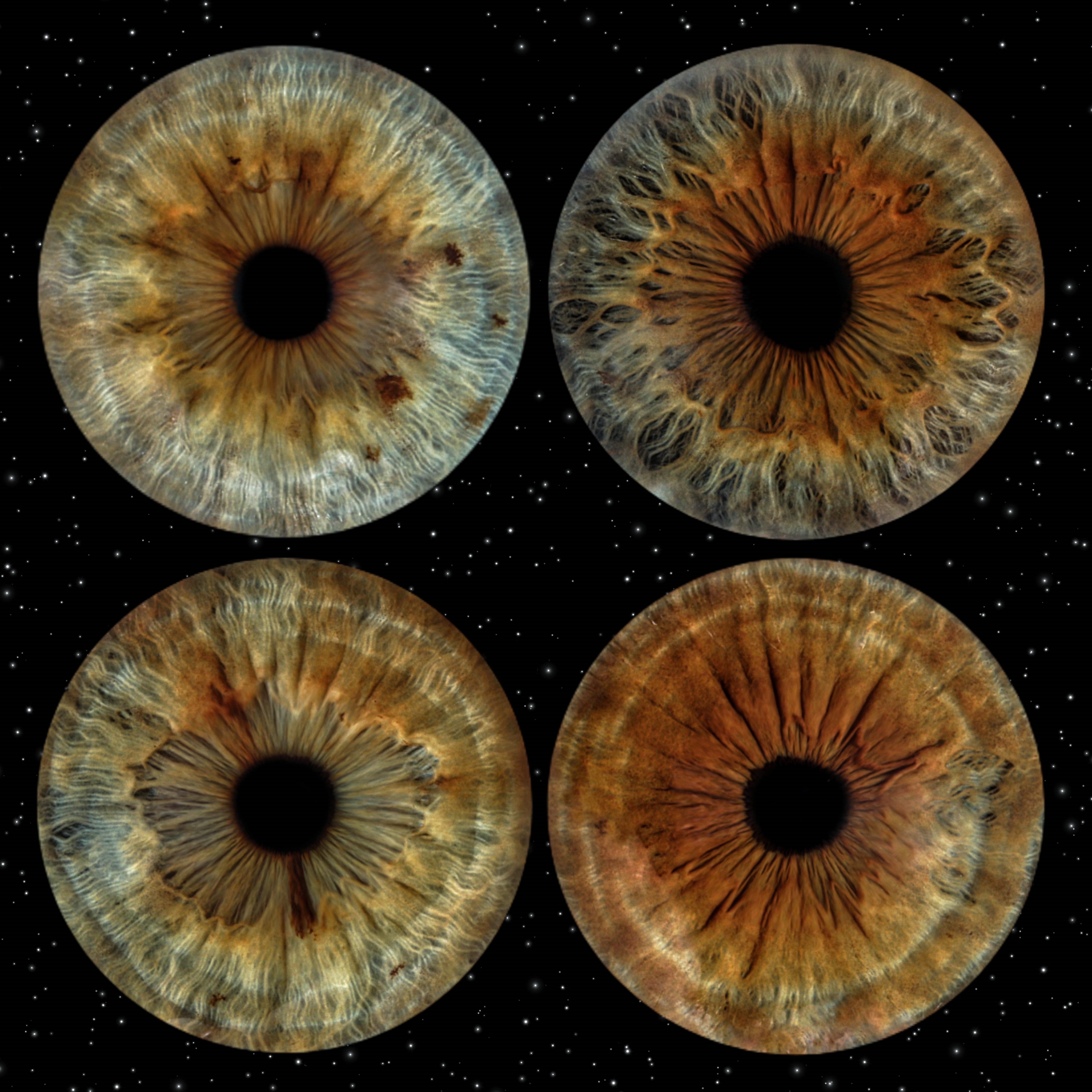 Julia 50x50 alu