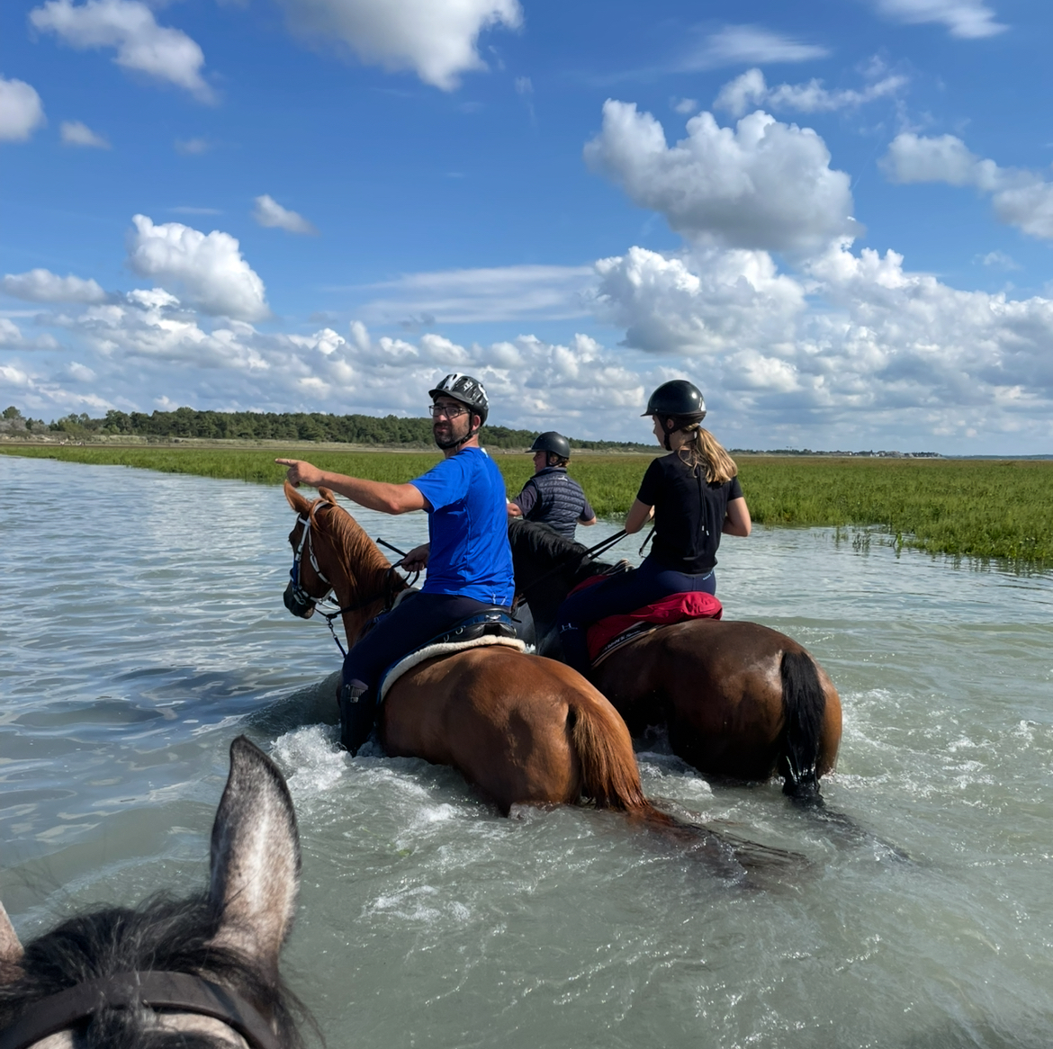 A3980A05-3E16-4647-897A-5D74FE28189A 1 201 a