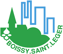 épaviste boissy saint léger