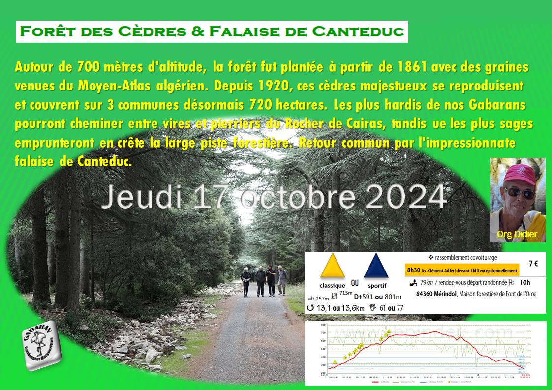 Foret-des-Cedres-et-Falaise-de-Cantaduc