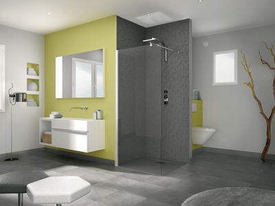 Salle de bain, paroi de douche, robinetterie, panneaux décoratifs.