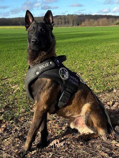 Association d'éducation canine Ludo Cyno 77