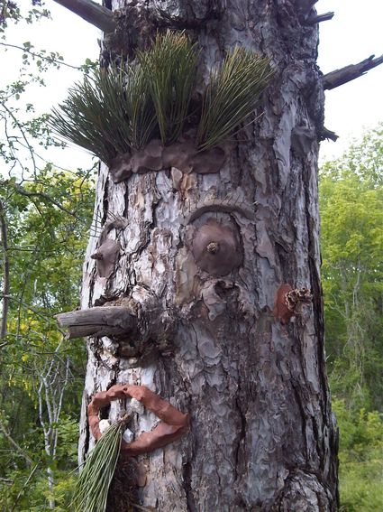 Balade Nature récréative mardi 29/10 de 14h30 à 16h