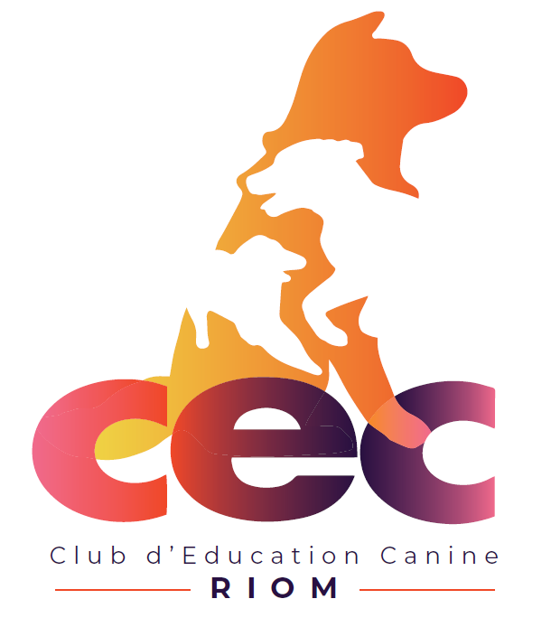 Projet-LOGO-Final