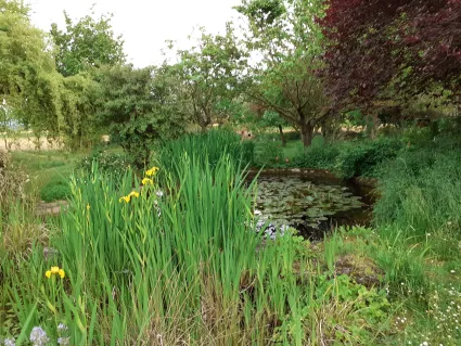 Ferme des essards bassin jpg