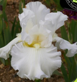 Photo ville de sancerres