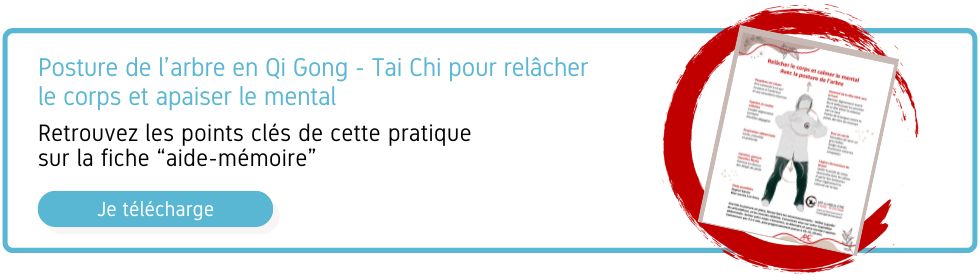 Posture de l arbre qi gong tai chi fiche energetique artdumieuxetre bourgoin ame cat 2024