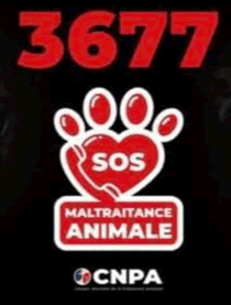 3677SosAnimaux