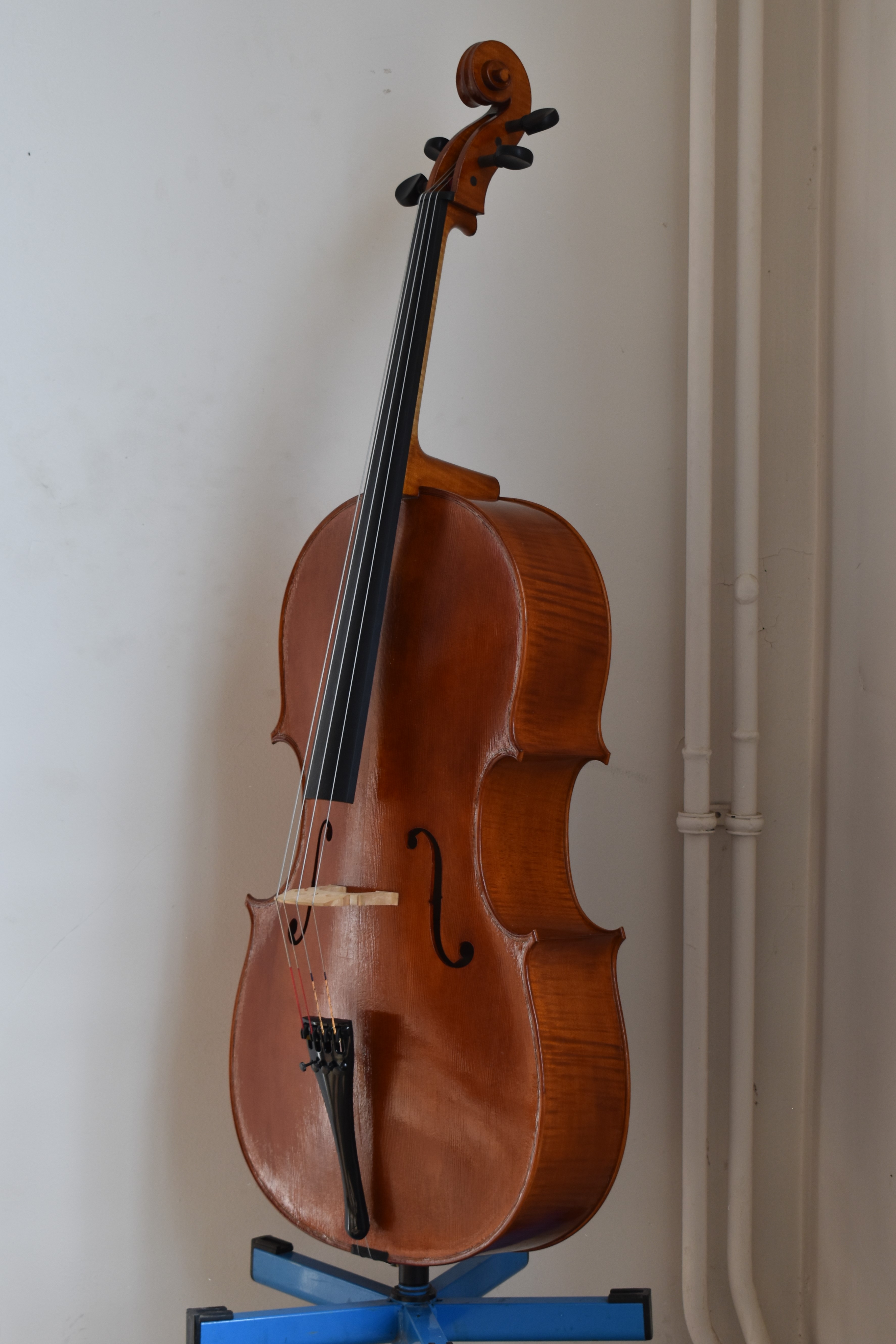 Photocello3quart