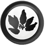 Renwakai-aikido-capdenac