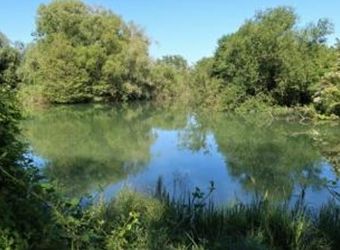 Canal du Rhône au Rhin