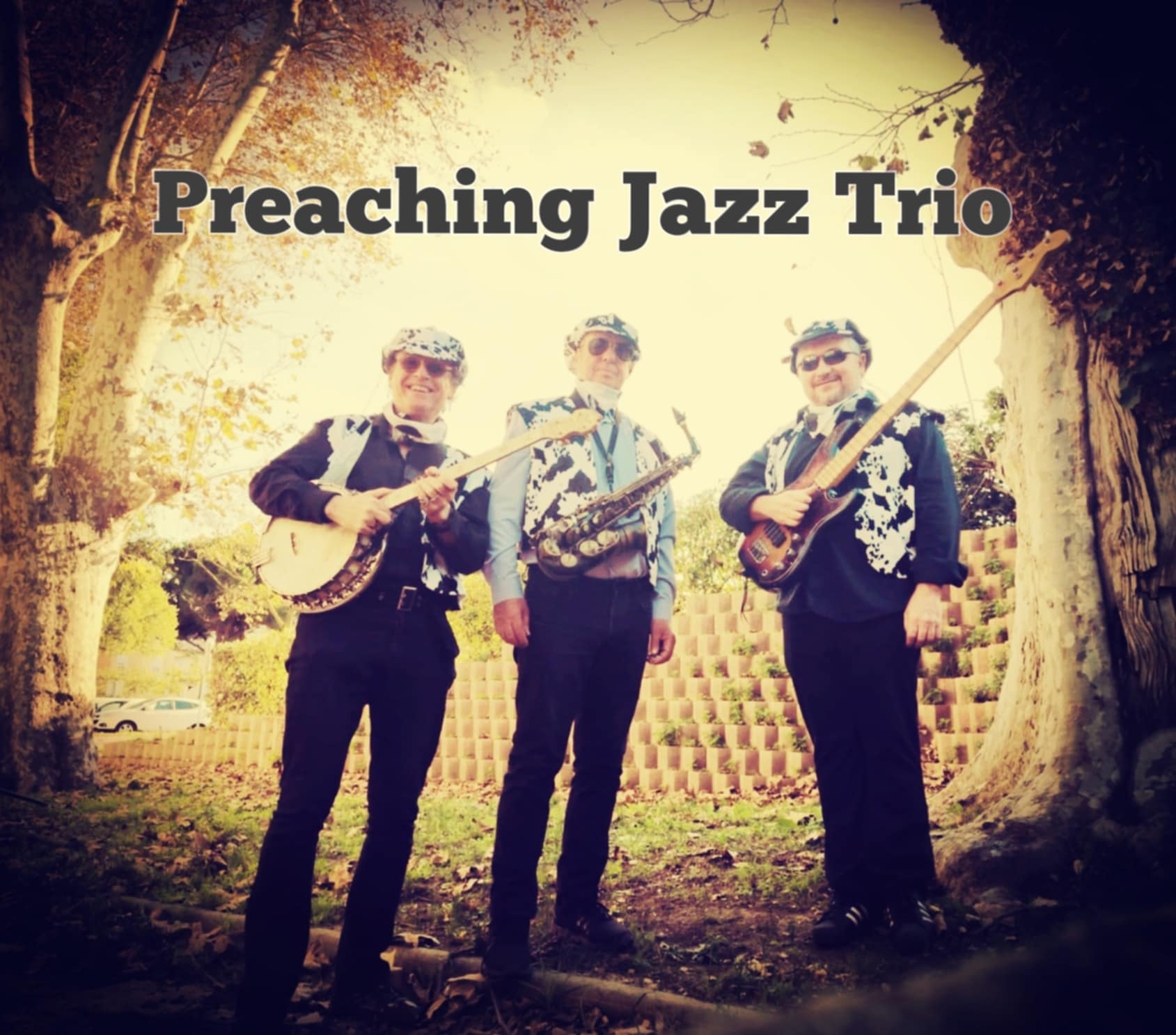 groupe de jazz, trio jazz, quartet jazz, quintet jazz, trio blues, quartet blues quintet blues, duo blues, duo jazz, orchestre de blues et orchestre de jazz, cows blues band