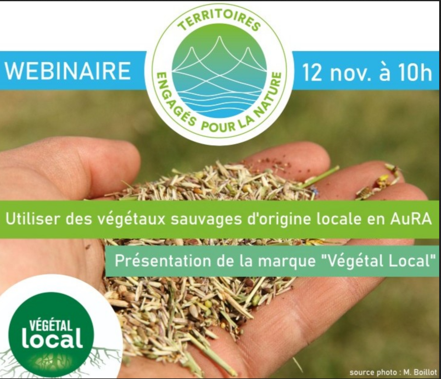 Webinaire - Végétaux sauvages en AuRA - 12 novembre 2024