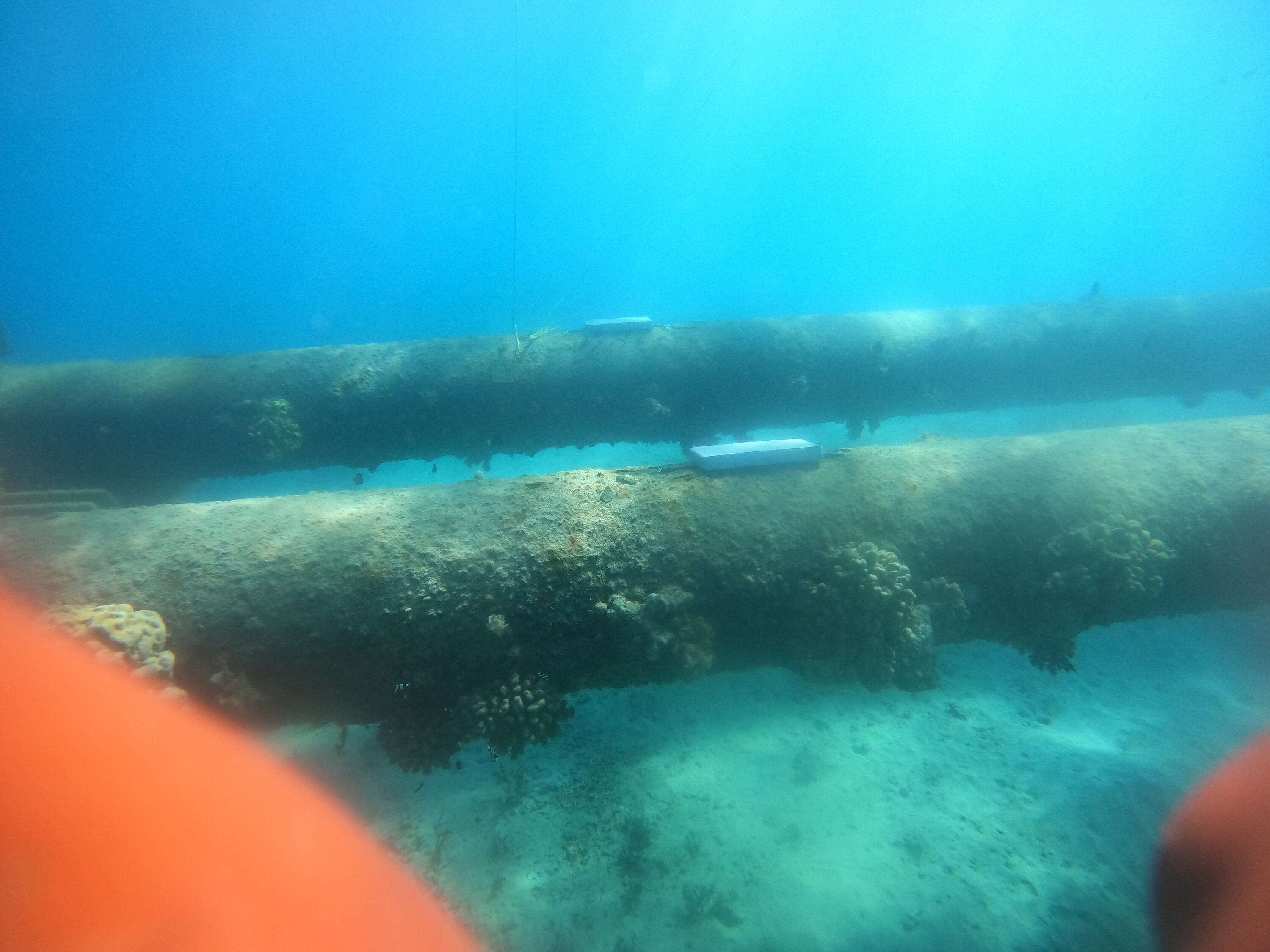 Gopr5546