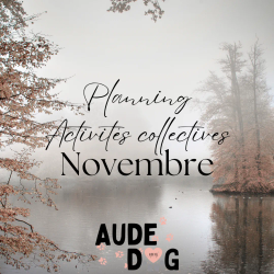 Planning activités collectives de Novembre