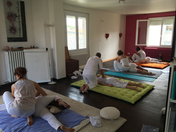 Shiatsu groupe transmission