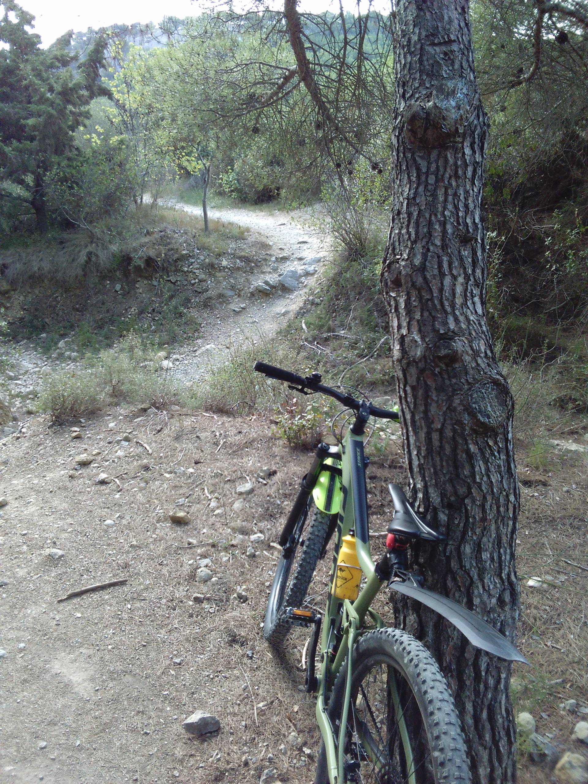 IMG 20211015 120448