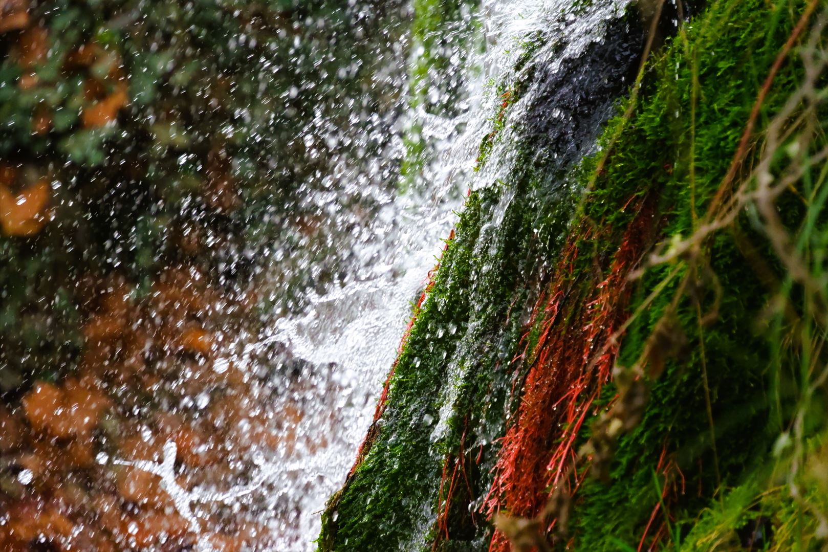 13 - Saint-Rémy-de-Provence