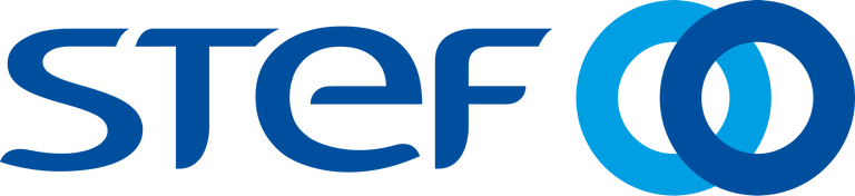 Logo Stef-svg