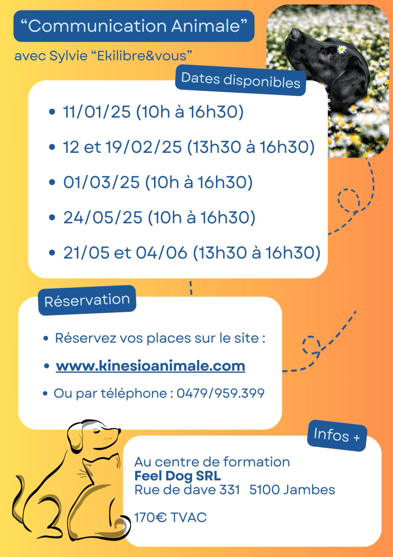 Affiche-conseils-transition-teletravail-simple-bleu