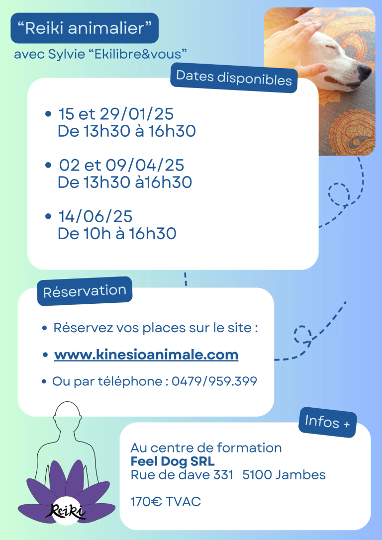 Affiche-conseils-transition-teletravail-simple-bleu-1-