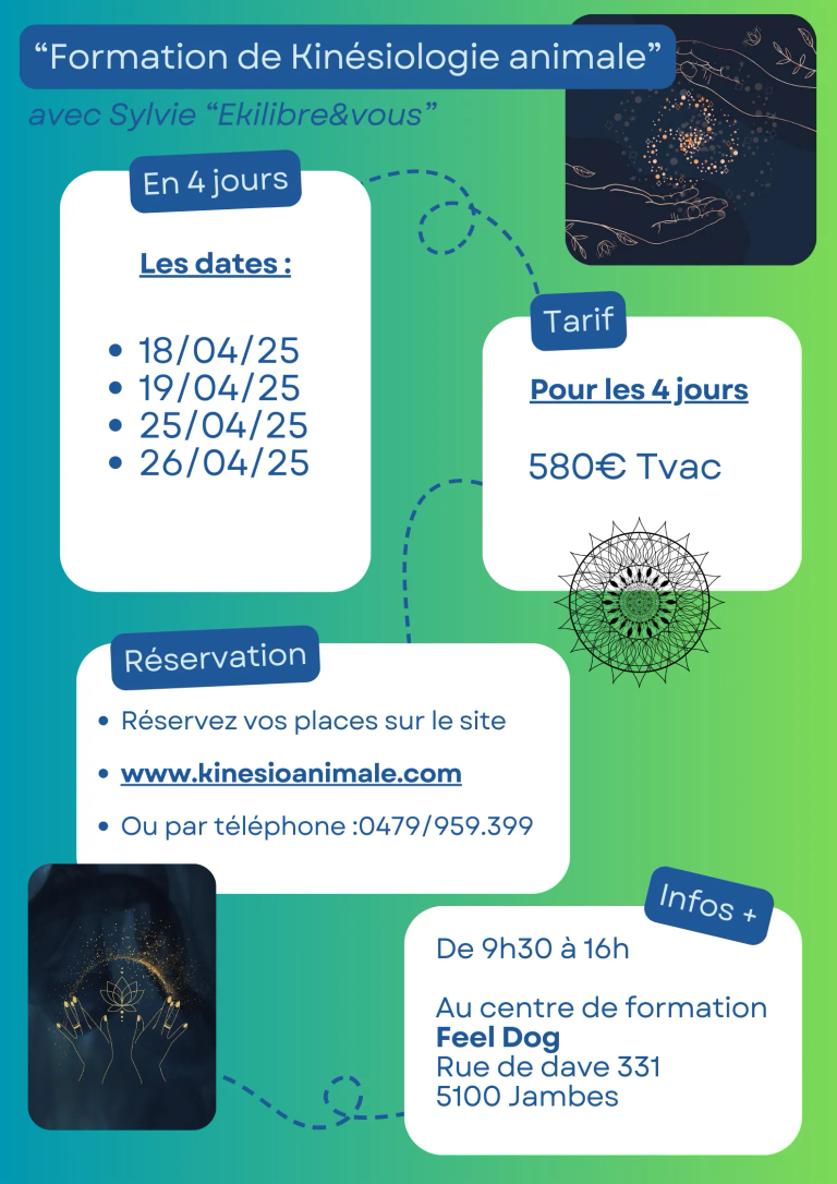 Affiche-conseils-transition-teletravail-simple-bleu-3-