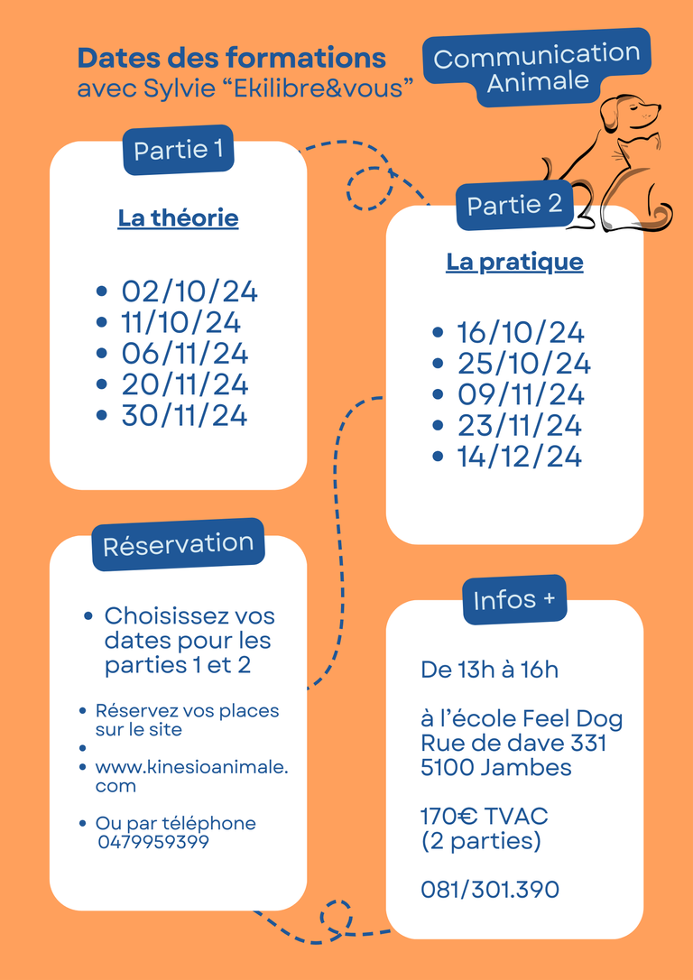 Affiche-conseils-transition-teletravail-simple-bleu