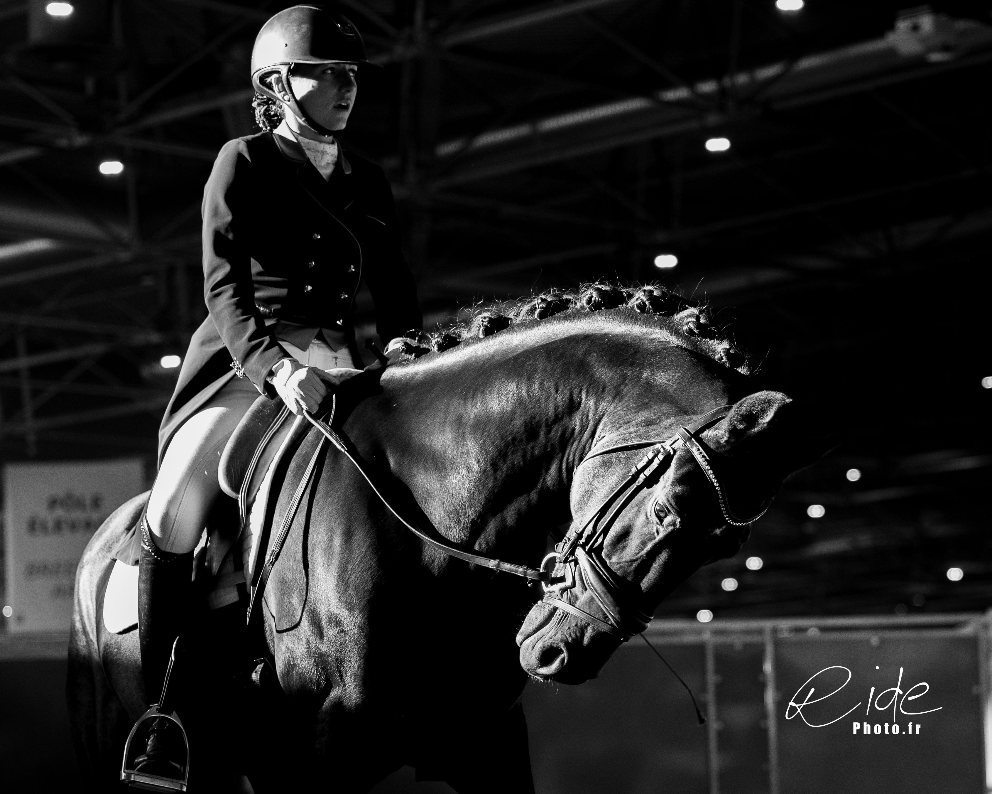 Chloe equita 2024 jipi7073 cr nb