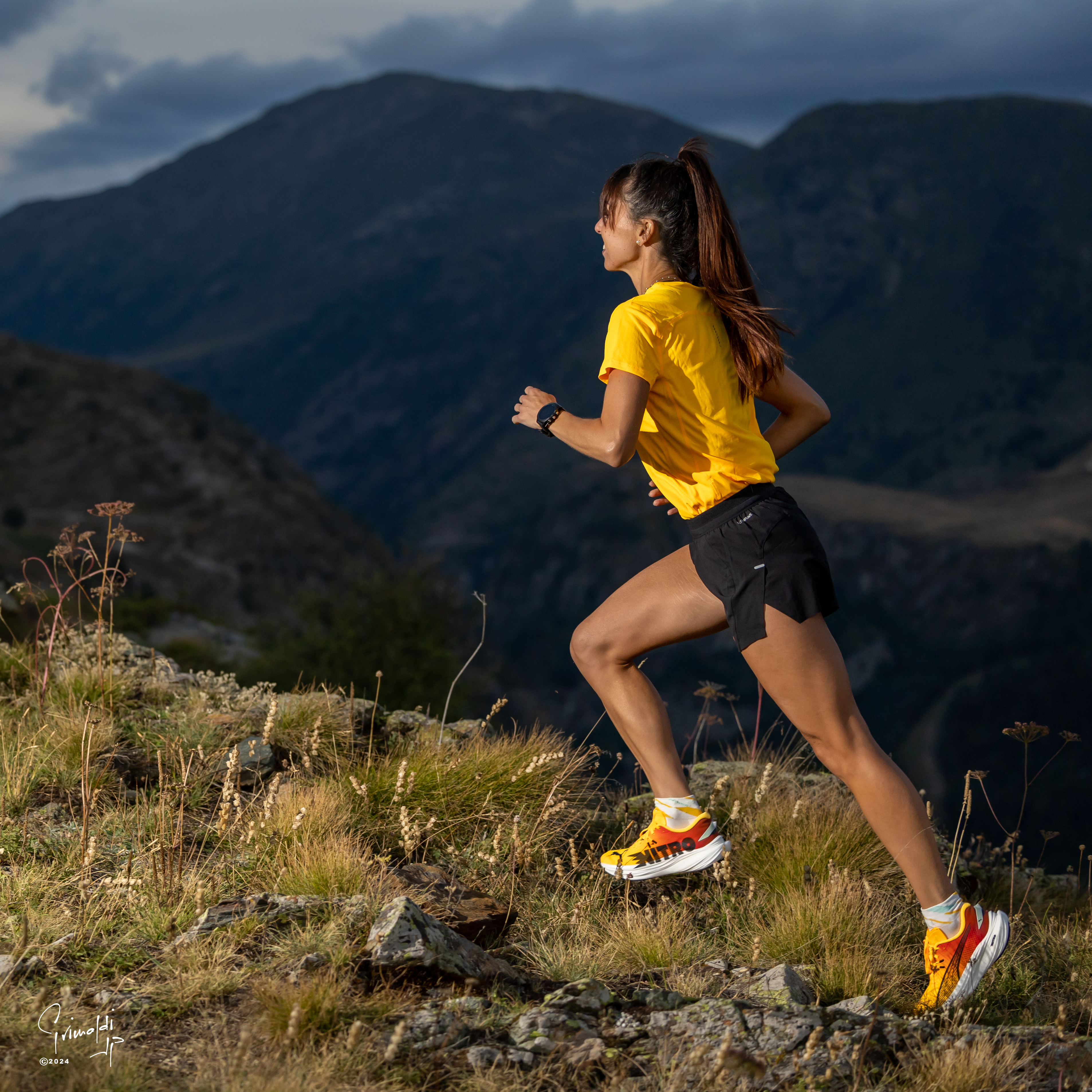 Jipi0298 vanessa eclose 9 20 08 2024