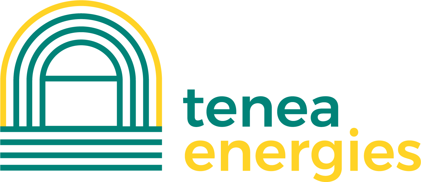 Tenea logo rvb