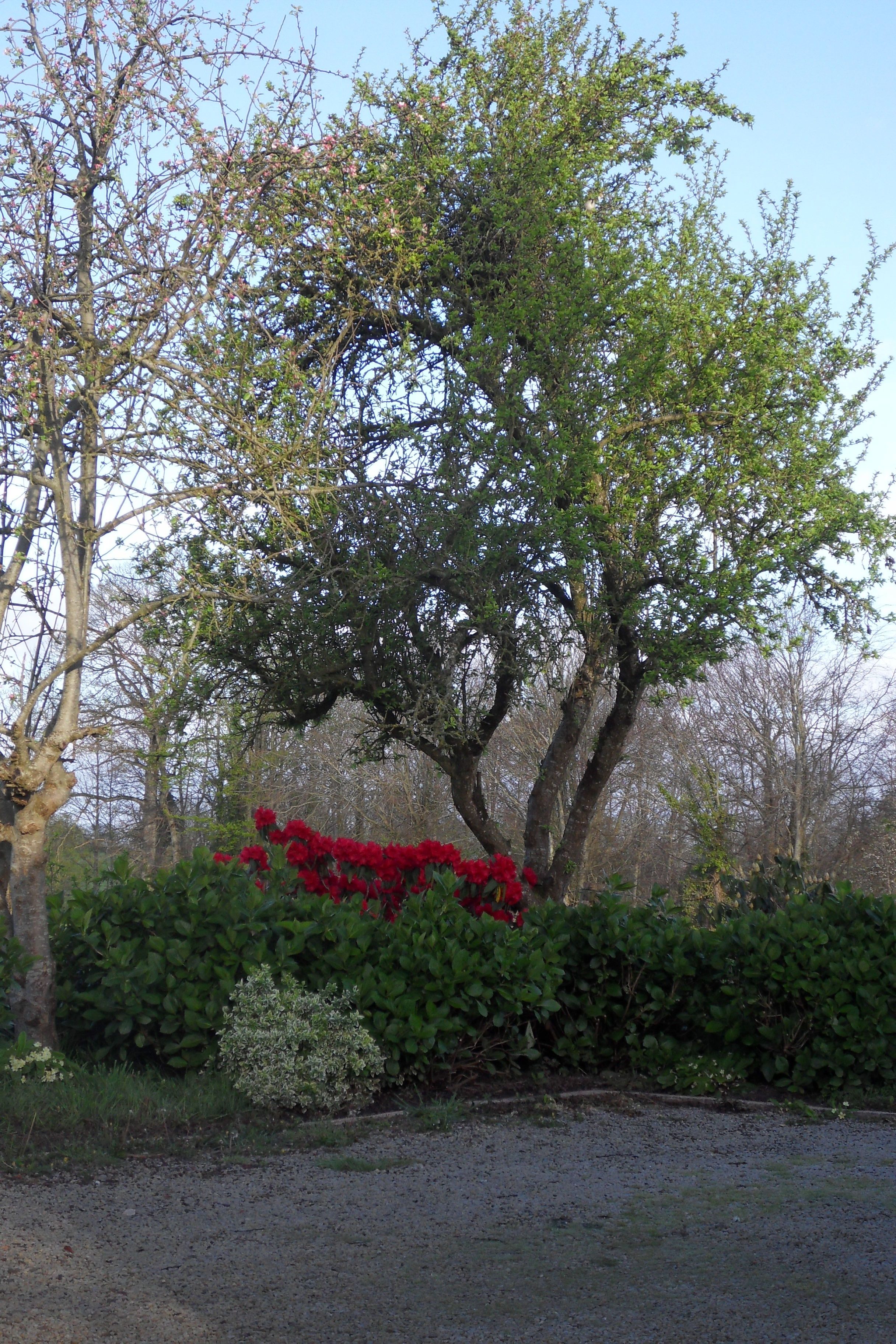 Sdc13134