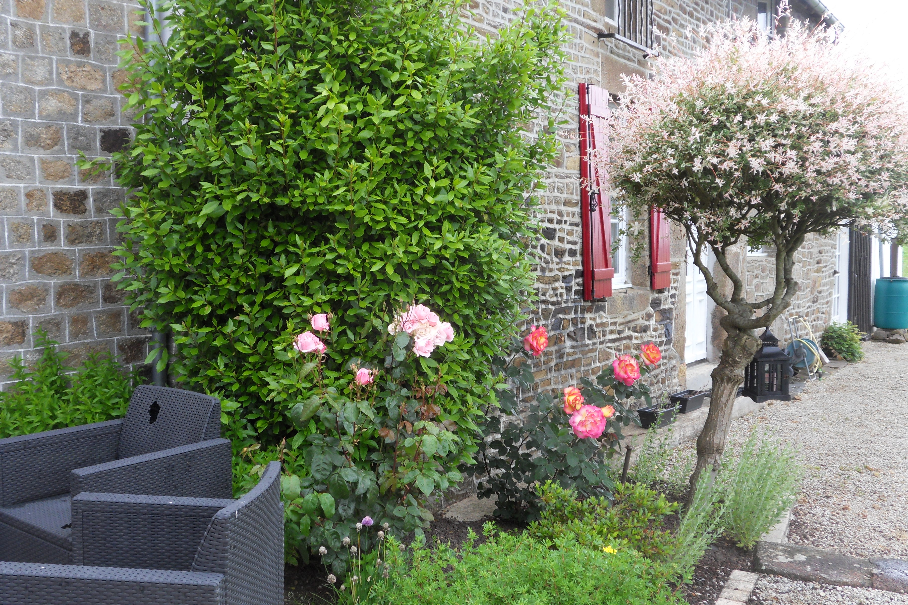 Sdc13145 copie