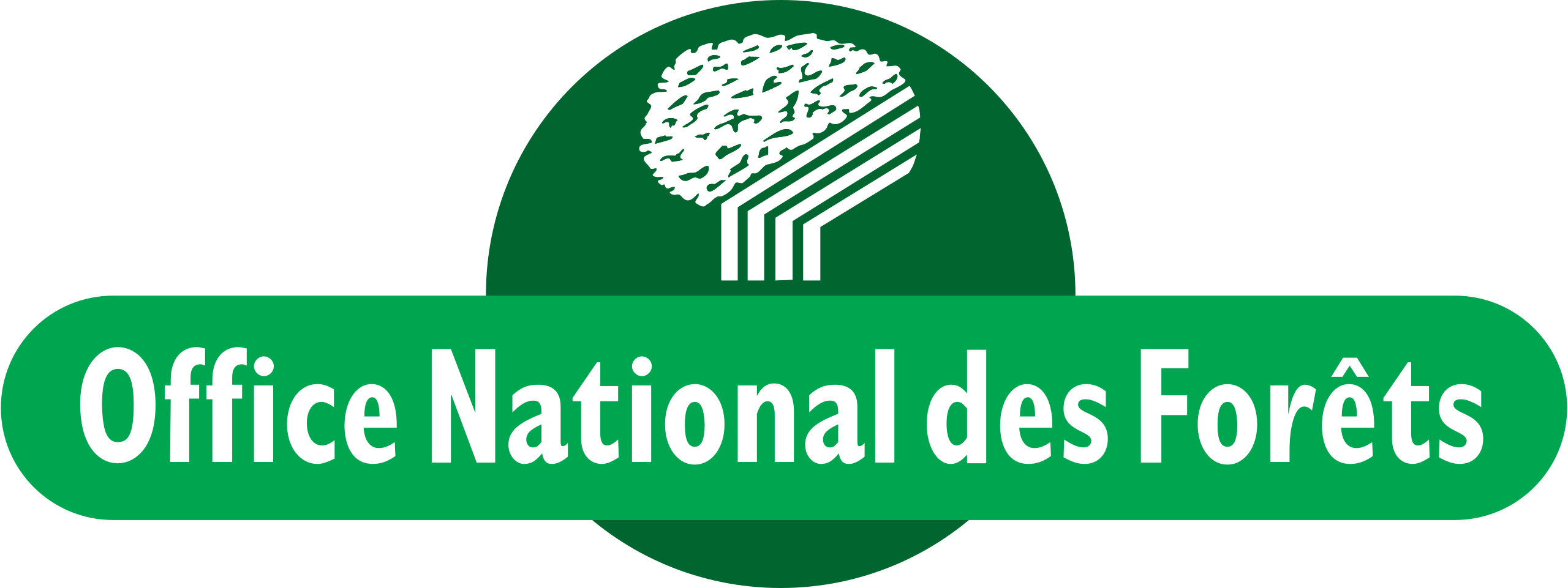 Office-national-des-forets-onf logo