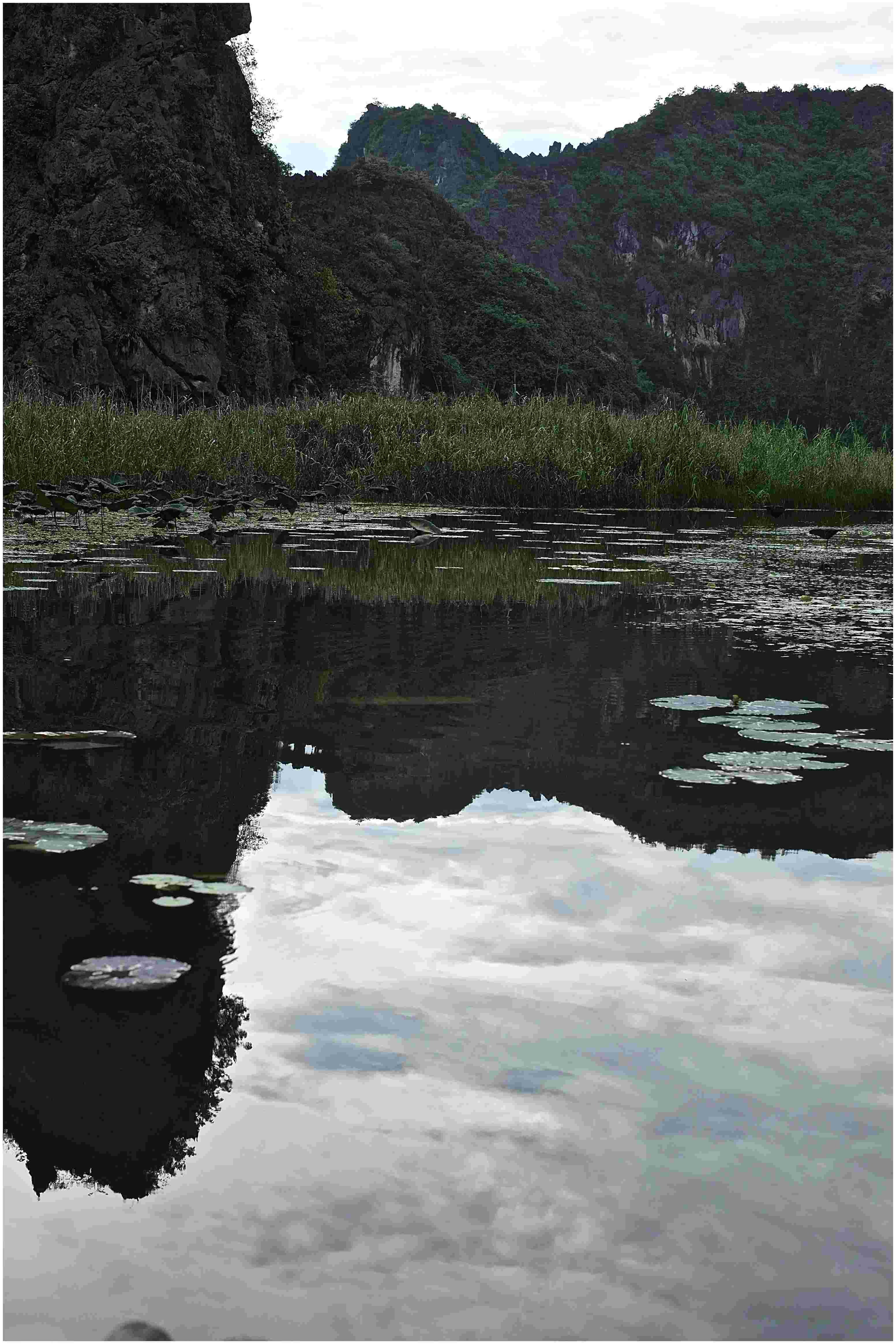 No9-v0-au-rythme-du-regard-dscf4571-bord-blanc