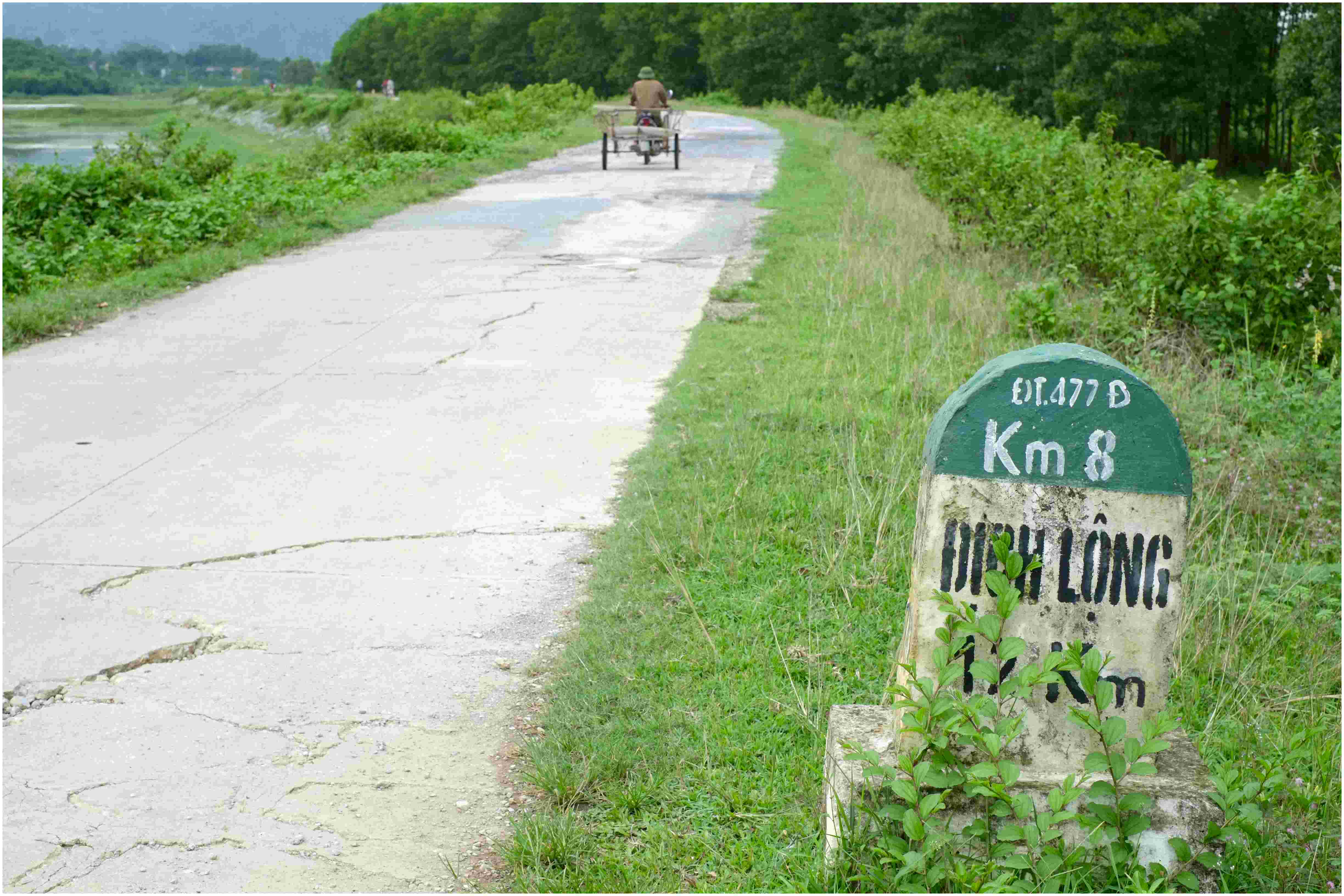 No8-au-bout-du-chemin-bord-blanc