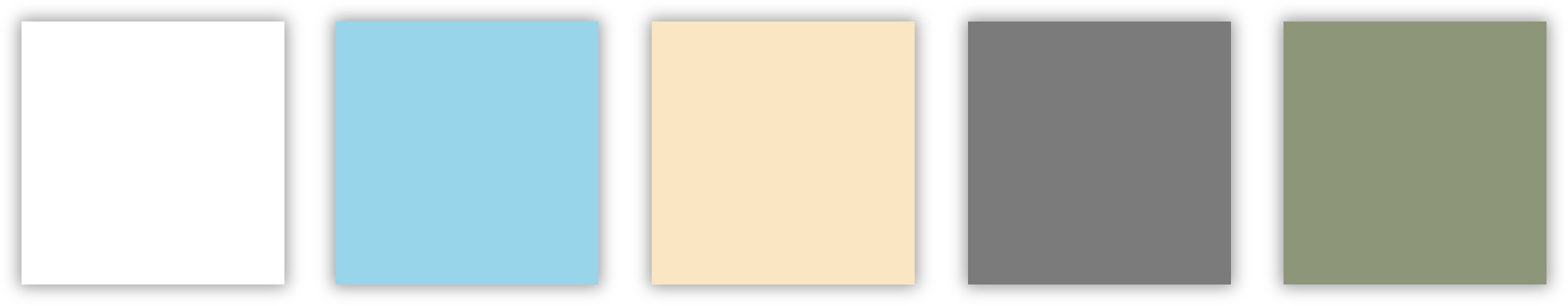 Coloris-gringo-50