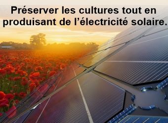 Du solaire vers l’agrivoltaïsme