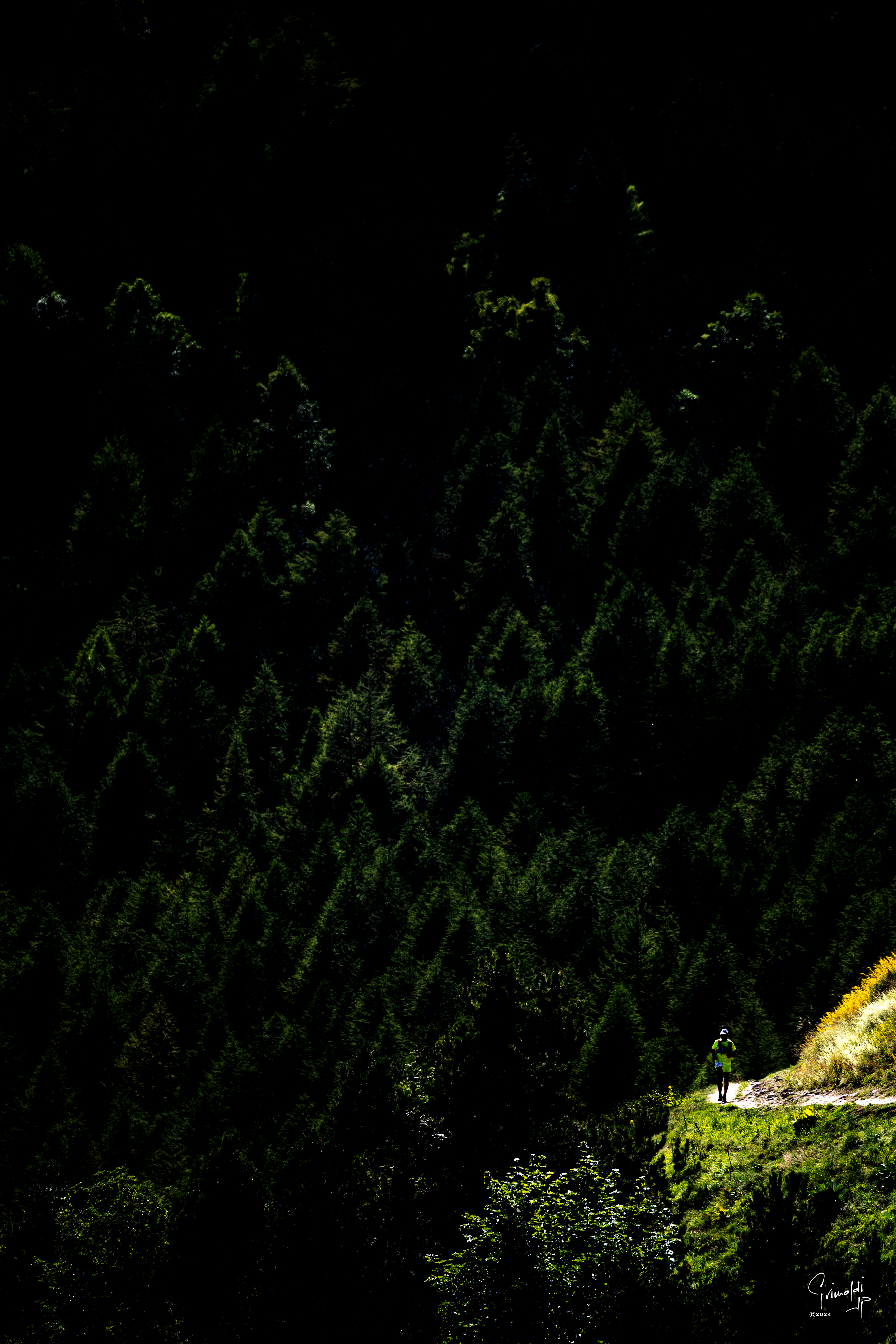 Trail 01 20 07 2024 2 cr