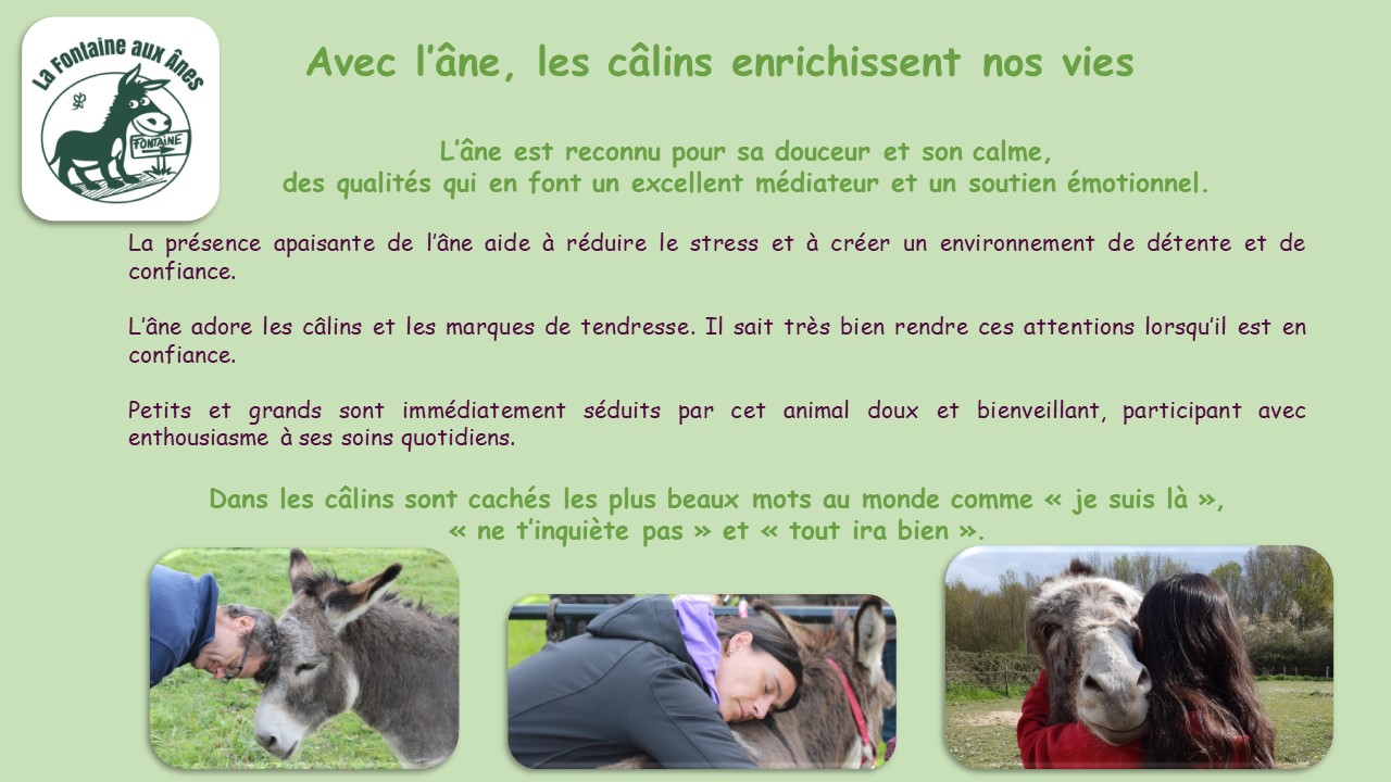 Calins-et-vie