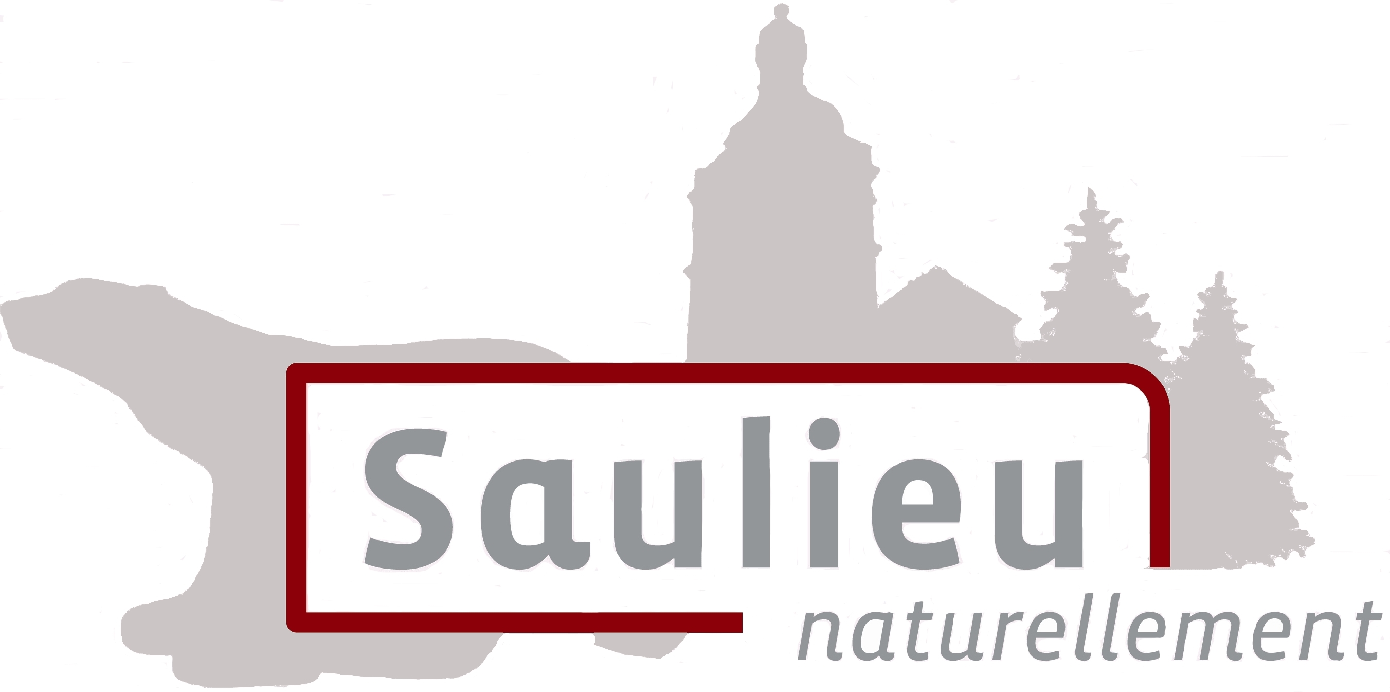 Logo-saulieu-naturellement
