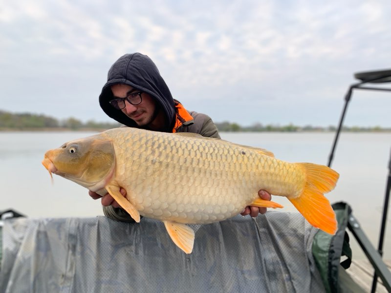 Espèces de poissons à l'Étang Duris