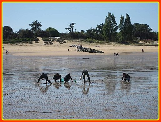 Tourisme-8-La-Peche