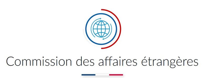 Mon Intervention à la Commission des Affaires Étrangères le 5 novembre 2024