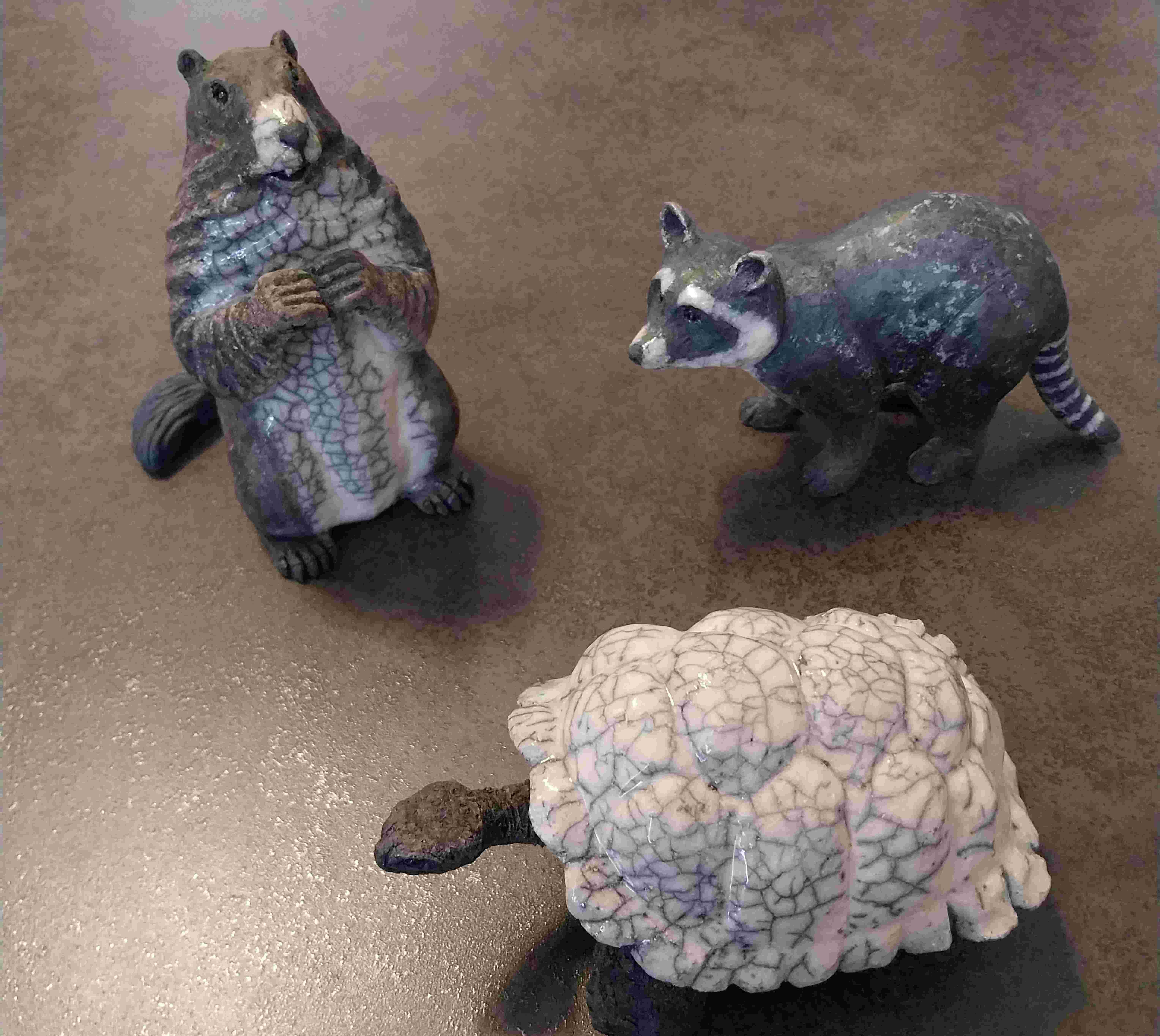 Marmotte ratron tortue
