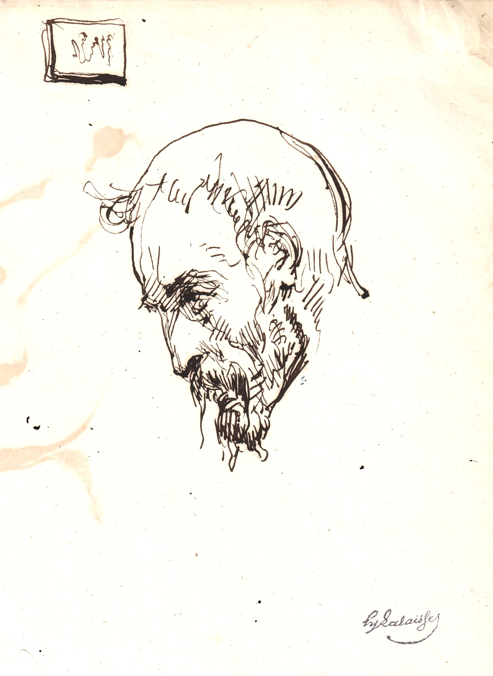 Lalaisse dessin homme