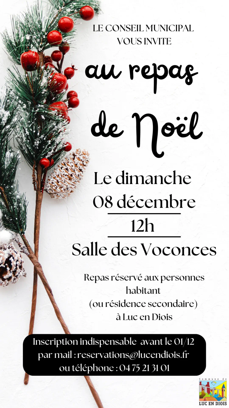 Affiche repas noel 2024