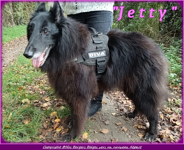Jetty-2-
