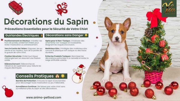 Pour-remettre-en-memoire-2
