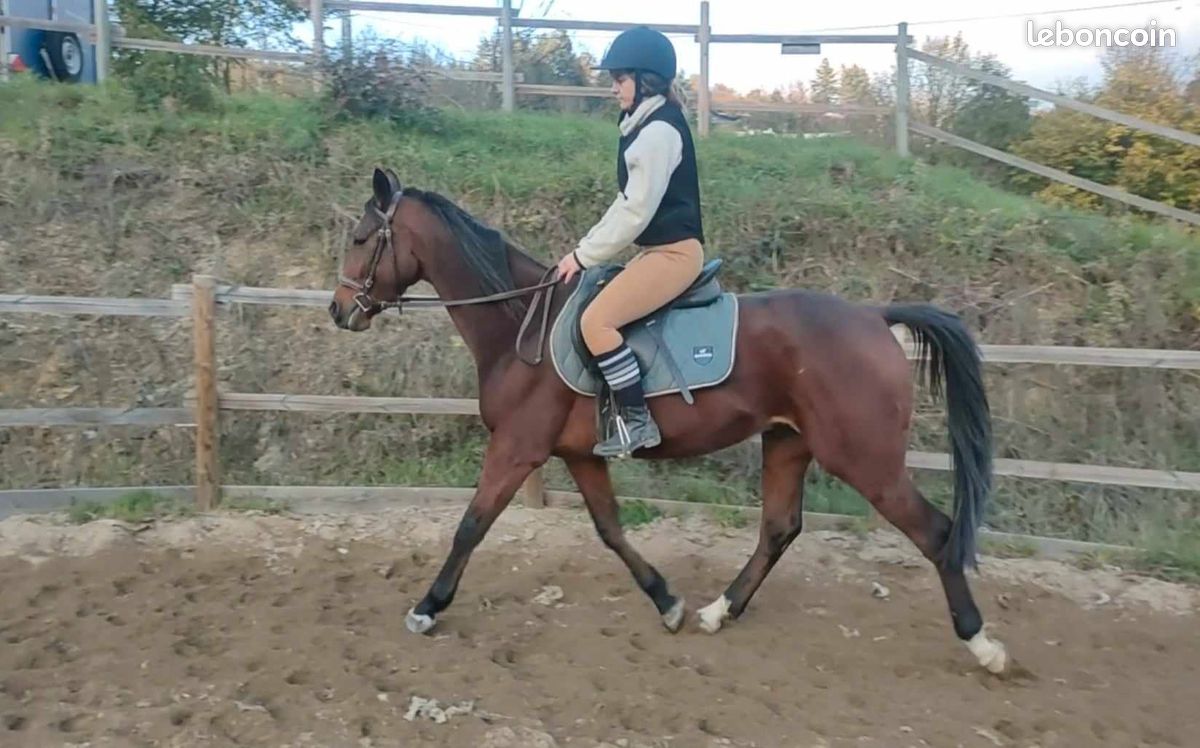 05741f3d3989fe09105f4254086e559115f0ec70