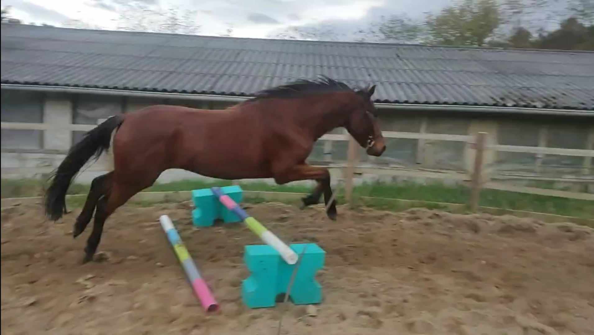 462639850 8477166299072485 3289662558545816895 n